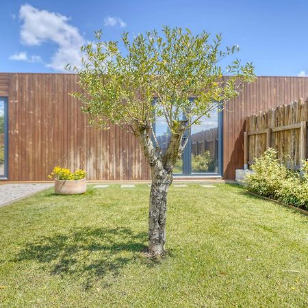Caju Villas Montargil - Villa Farinha Branca Exteriör bild